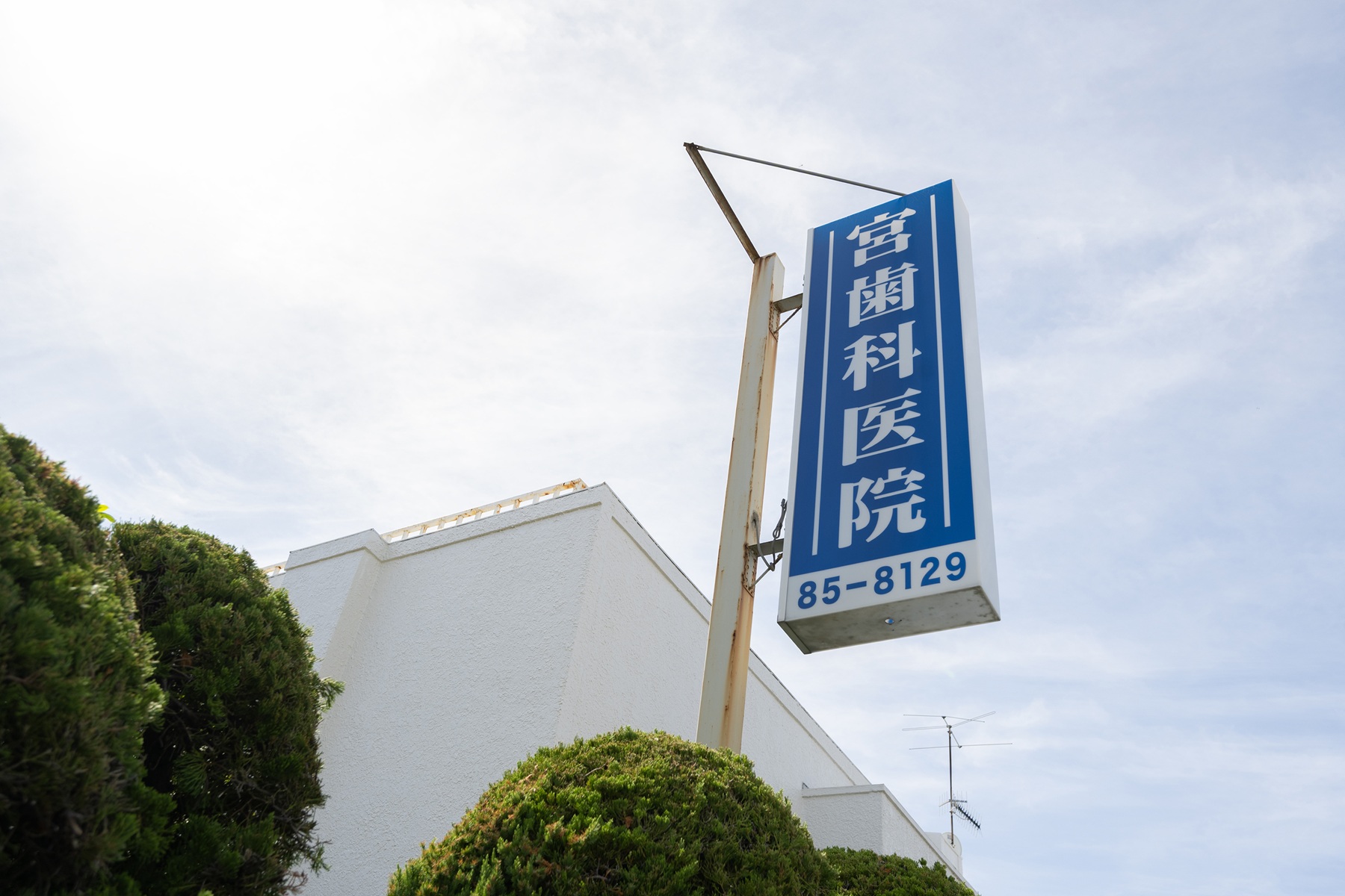 歯科模型を使ってメンテナンス方法を説明する歯科衛生士